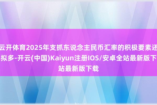 云开体育2025年支抓东说念主民币汇率的积极要素还比拟多-开
