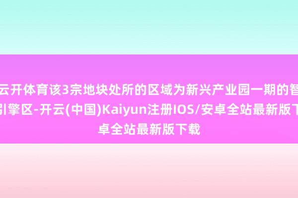 云开体育该3宗地块处所的区域为新兴产业园一期的智造引擎区-开