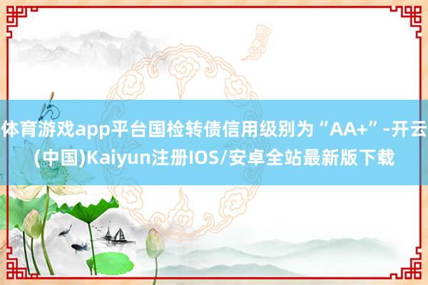 体育游戏app平台国检转债信用级别为“AA+”-开云(中国)