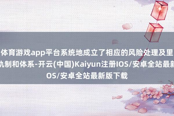 体育游戏app平台系统地成立了相应的风险处理及里面规定轨制和