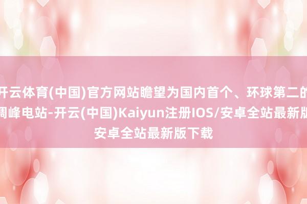 开云体育(中国)官方网站瞻望为国内首个、环球第二的氢能调峰电