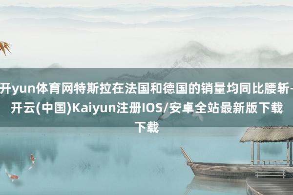 开yun体育网特斯拉在法国和德国的销量均同比腰斩-开云(中国)Kaiyun注册IOS/安卓全站最新版下载