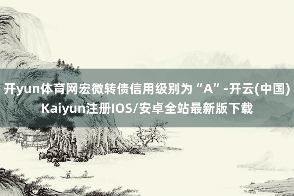 开yun体育网宏微转债信用级别为“A”-开云(中国)Kaiyun注册IOS/安卓全站最新版下载